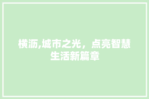 横沥,城市之光，点亮智慧生活新篇章 网站开发