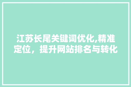 江苏长尾关键词优化,精准定位，提升网站排名与转化率 网站优化