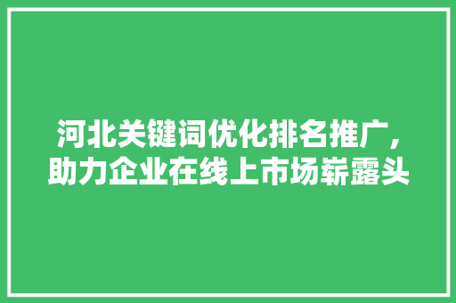 河北关键词优化排名推广,助力企业在线上市场崭露头角 英文谷歌算法