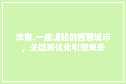 津南,一座崛起的智慧城市，关键词优化引领未来