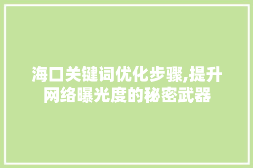 海口关键词优化步骤,提升网络曝光度的秘密武器 百度算法