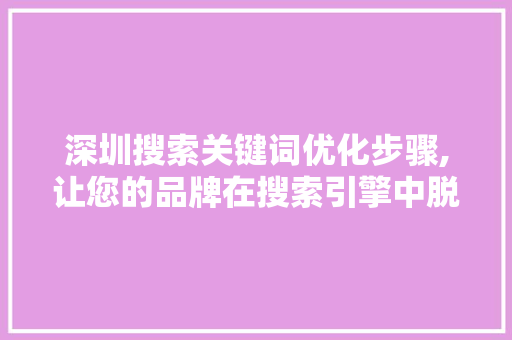 深圳搜索关键词优化步骤,让您的品牌在搜索引擎中脱颖而出