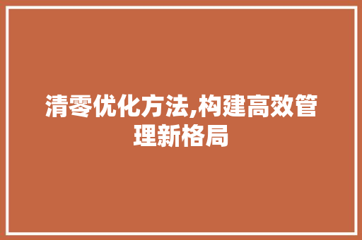 清零优化方法,构建高效管理新格局 小程序开发