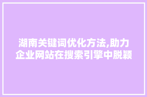 湖南关键词优化方法,助力企业网站在搜索引擎中脱颖而出
