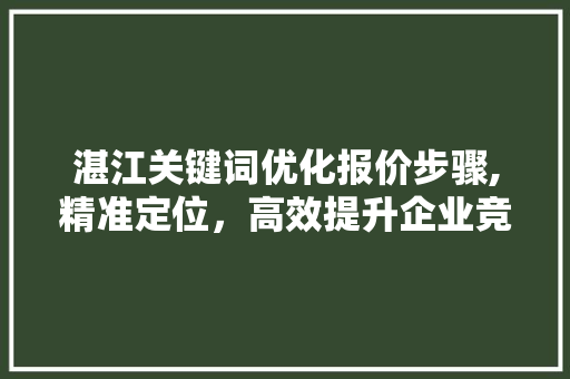 湛江关键词优化报价步骤,精准定位，高效提升企业竞争力