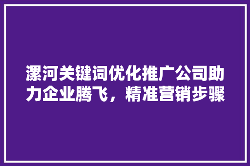 漯河关键词优化推广公司助力企业腾飞，精准营销步骤引领时代潮流