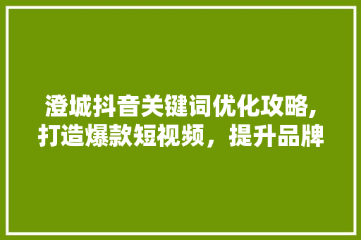 澄城抖音关键词优化攻略,打造爆款短视频，提升品牌影响力