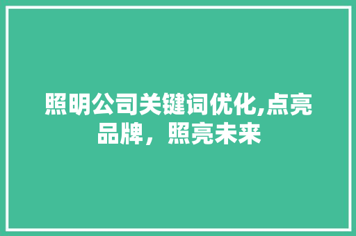 照明公司关键词优化,点亮品牌，照亮未来