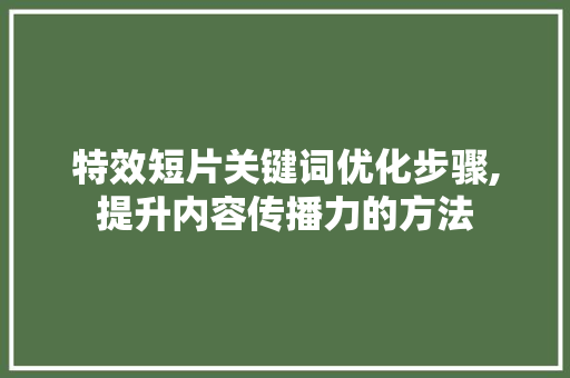 特效短片关键词优化步骤,提升内容传播力的方法