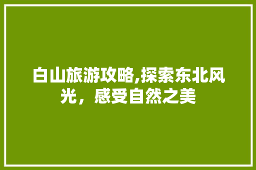 白山旅游攻略,探索东北风光，感受自然之美