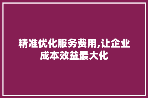 精准优化服务费用,让企业成本效益最大化