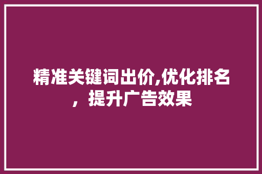 精准关键词出价,优化排名，提升广告效果