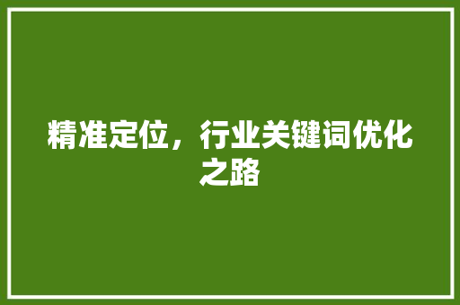 精准定位，行业关键词优化之路 网站优化