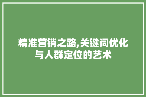 精准营销之路,关键词优化与人群定位的艺术 网站优化