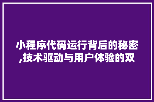 小程序代码运行背后的秘密,技术驱动与用户体验的双赢之路 小程序代码运行背后的秘密,技术驱动与用户体验的双赢之路 seo技术