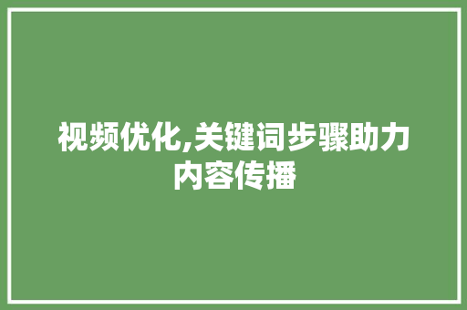 视频优化,关键词步骤助力内容传播