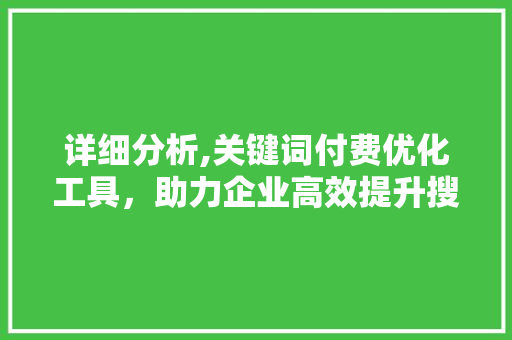 详细分析,关键词付费优化工具，助力企业高效提升搜索引擎排名