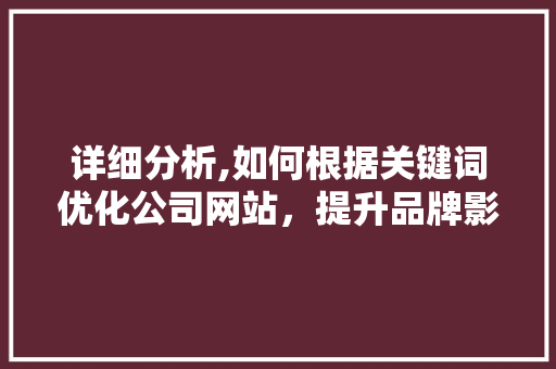 详细分析,如何根据关键词优化公司网站，提升品牌影响力