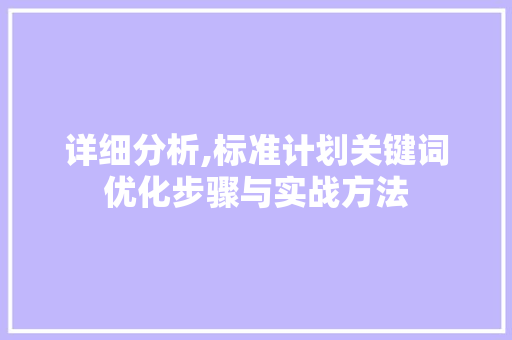 详细分析,标准计划关键词优化步骤与实战方法