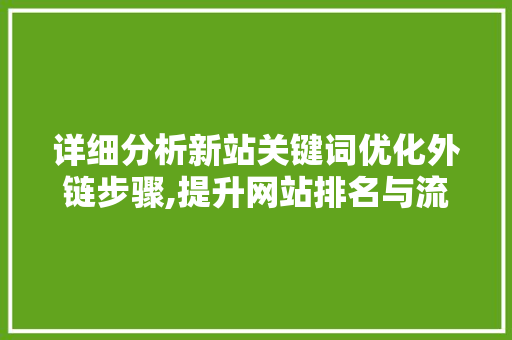 详细分析新站关键词优化外链步骤,提升网站排名与流量