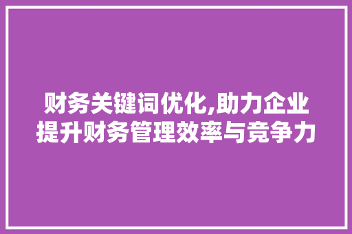 财务关键词优化,助力企业提升财务管理效率与竞争力 网站开发