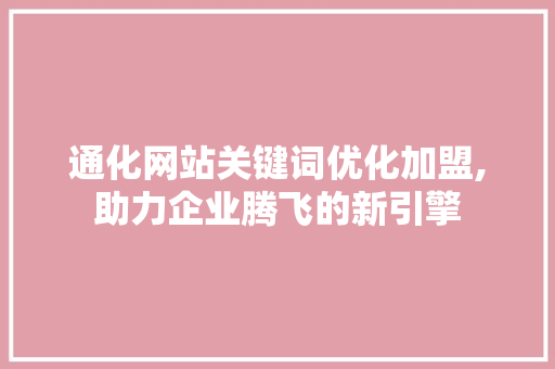 通化网站关键词优化加盟,助力企业腾飞的新引擎