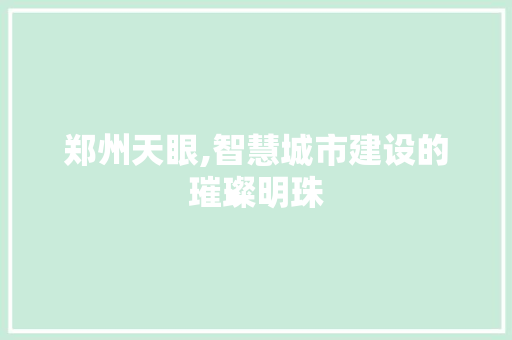 郑州天眼,智慧城市建设的璀璨明珠 网站优化