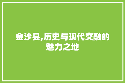 金沙县,历史与现代交融的魅力之地 英文谷歌算法