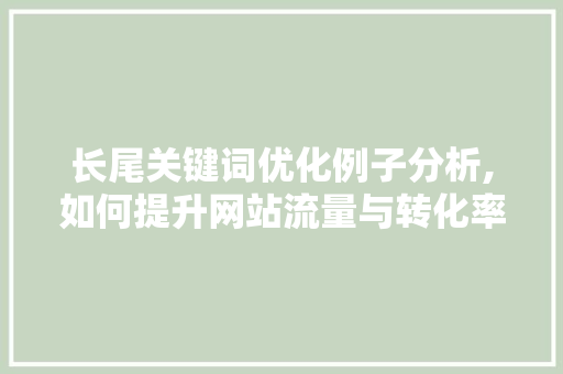 长尾关键词优化例子分析,如何提升网站流量与转化率