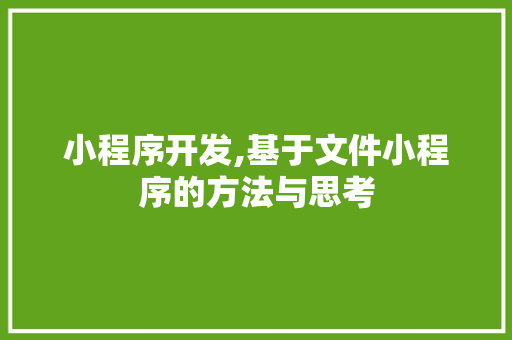 小程序开发,基于文件小程序的方法与思考 小程序开发,基于文件小程序的方法与思考 AI技术学习