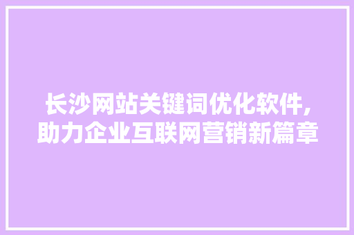 长沙网站关键词优化软件,助力企业互联网营销新篇章 seo技术