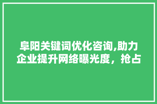 阜阳关键词优化咨询,助力企业提升网络曝光度，抢占市场先机
