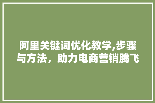 阿里关键词优化教学,步骤与方法，助力电商营销腾飞 seo技术