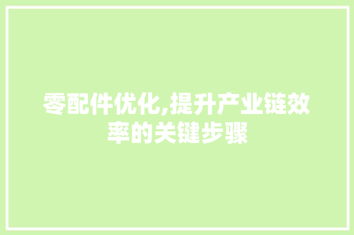 零配件优化,提升产业链效率的关键步骤 网站优化