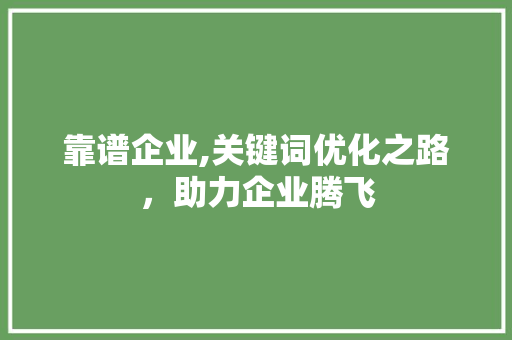靠谱企业,关键词优化之路，助力企业腾飞 小程序开发