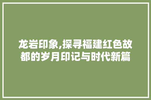 龙岩印象,探寻福建红色故都的岁月印记与时代新篇 百度算法