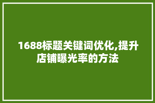 1688标题关键词优化,提升店铺曝光率的方法 英文谷歌算法