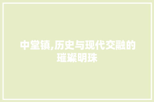 中堂镇,历史与现代交融的璀璨明珠 网站开发