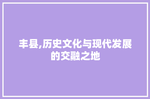 丰县,历史文化与现代发展的交融之地