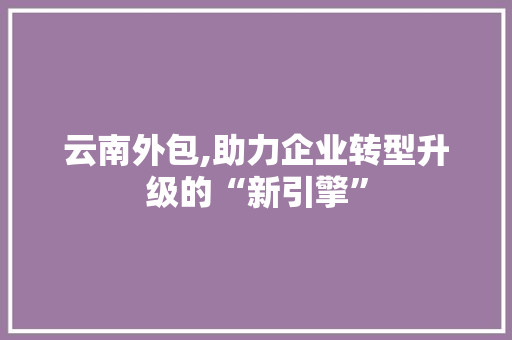 云南外包,助力企业转型升级的“新引擎”
