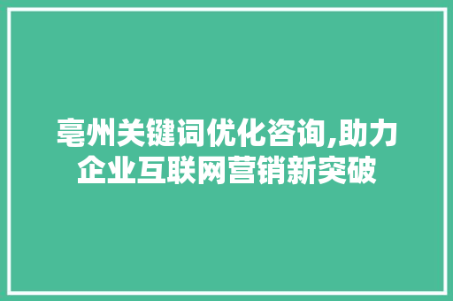 亳州关键词优化咨询,助力企业互联网营销新突破 小程序开发