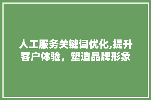 人工服务关键词优化,提升客户体验，塑造品牌形象 百度算法