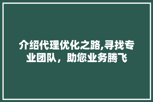 介绍代理优化之路,寻找专业团队，助您业务腾飞 网站开发