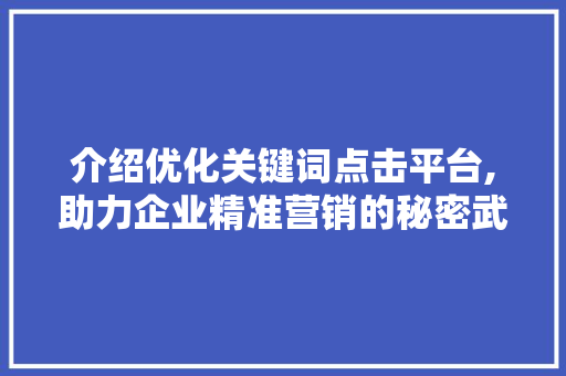 介绍优化关键词点击平台,助力企业精准营销的秘密武器