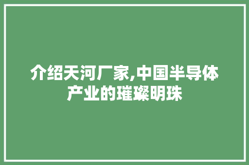 介绍天河厂家,中国半导体产业的璀璨明珠