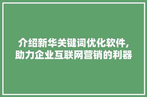 介绍新华关键词优化软件,助力企业互联网营销的利器 网站开发