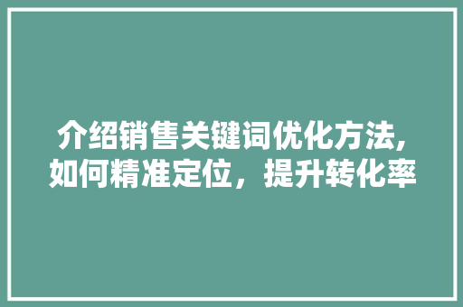 介绍销售关键词优化方法,如何精准定位，提升转化率