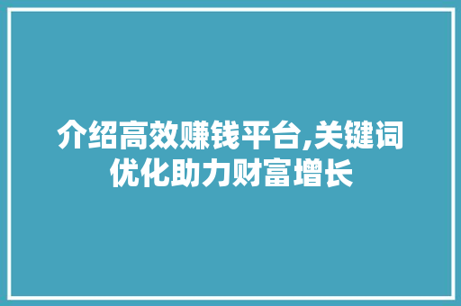 介绍高效赚钱平台,关键词优化助力财富增长