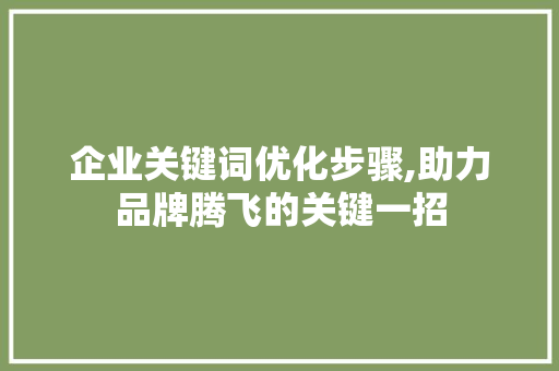企业关键词优化步骤,助力品牌腾飞的关键一招 百度算法