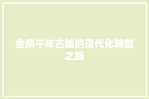 金奈千年古城的现代化转型之路